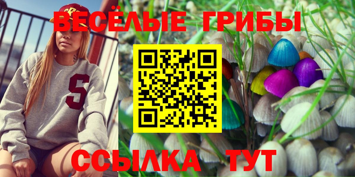 Псилоцибиновые грибы ЛСД Красноармейск