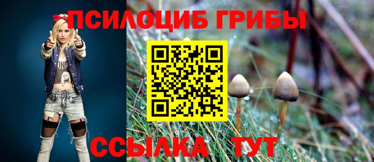Псилоцибиновые грибы мухоморы  наркота  Красноармейск  Вход с VPN 